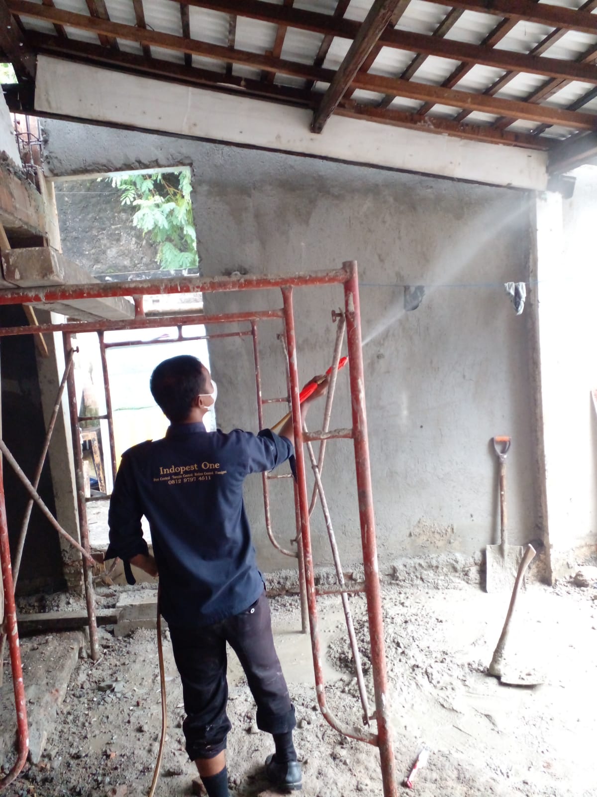 Jasa Anti Rayap Jakarta Pusat Bergaransi 3â€“5 Tahun & Free Survey